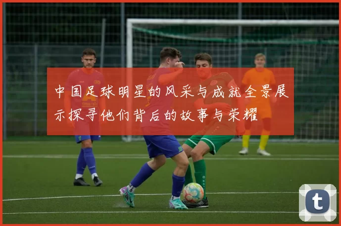中国足球明星的风采与成就全景展示探寻他们背后的故事与荣耀