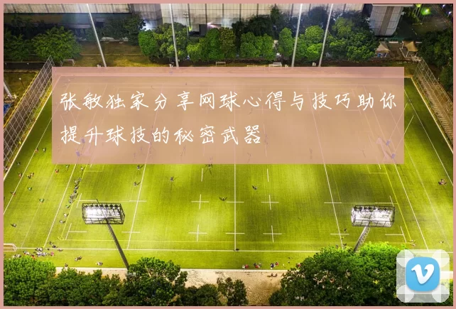 张敏独家分享网球心得与技巧助你提升球技的秘密武器