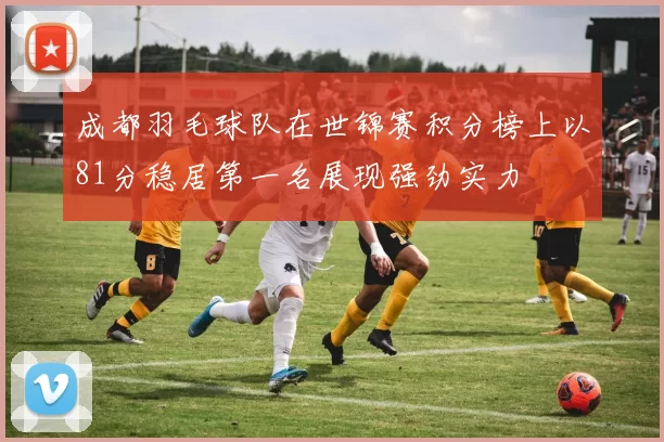 成都羽毛球队在世锦赛积分榜上以81分稳居第一名展现强劲实力