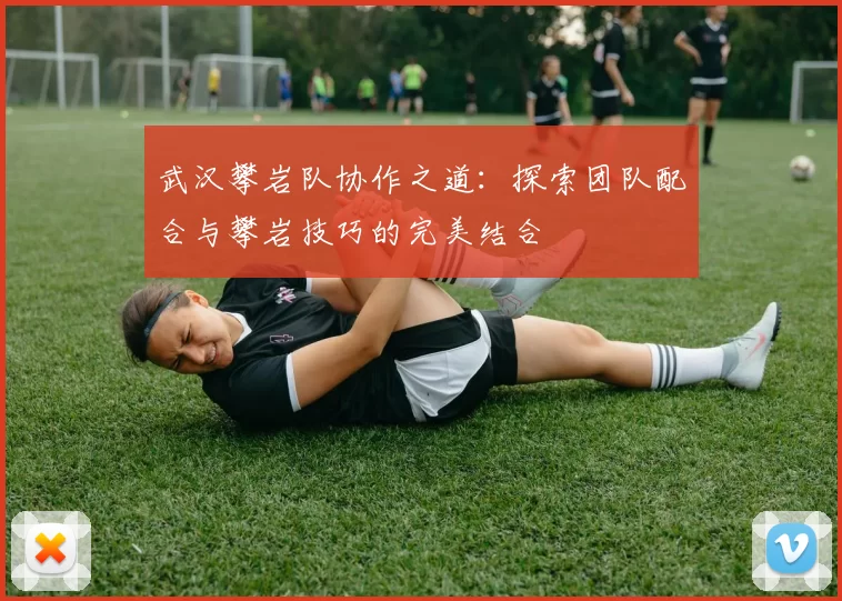 武汉攀岩队协作之道：探索团队配合与攀岩技巧的完美结合