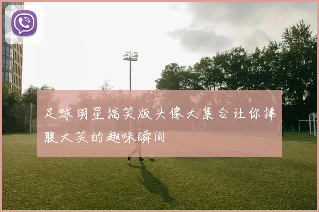 足球明星搞笑版头像大集合让你捧腹大笑的趣味瞬间