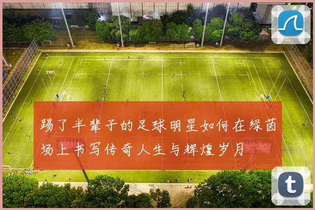 踢了半辈子的足球明星如何在绿茵场上书写传奇人生与辉煌岁月