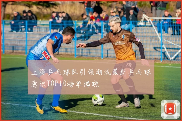 上海乒乓球队引领潮流最新乒乓球意识TOP10榜单揭晓