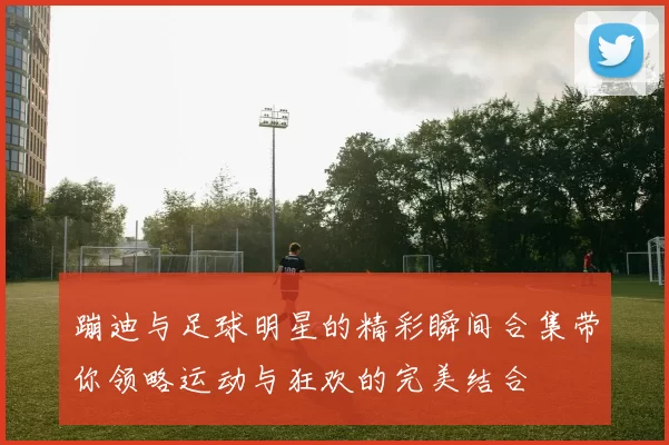 蹦迪与足球明星的精彩瞬间合集带你领略运动与狂欢的完美结合