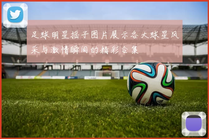 足球明星摇子图片展示各大球星风采与激情瞬间的精彩合集