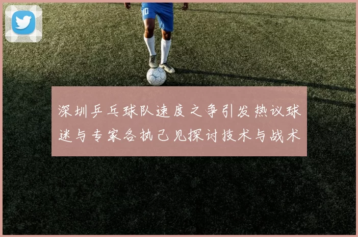 深圳乒乓球队速度之争引发热议球迷与专家各执己见探讨技术与战术