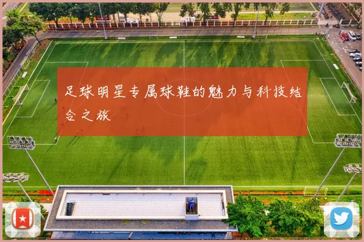 足球明星专属球鞋的魅力与科技结合之旅