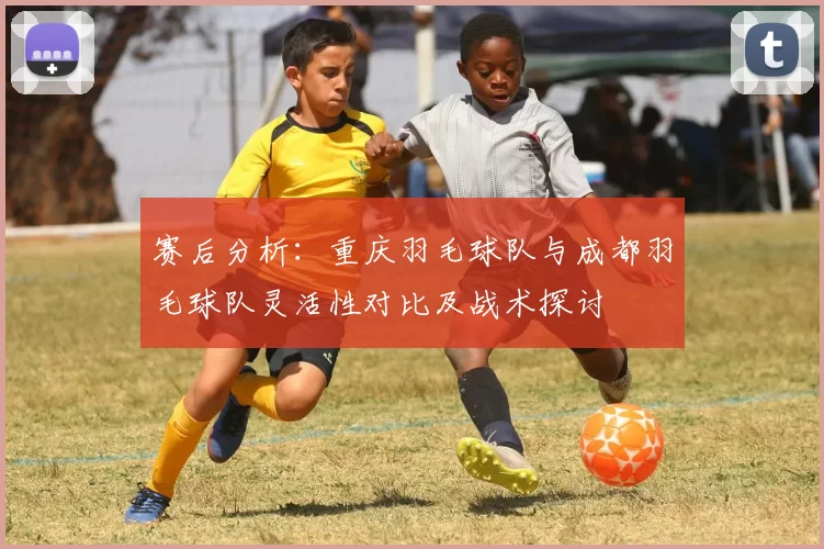 赛后分析：重庆羽毛球队与成都羽毛球队灵活性对比及战术探讨