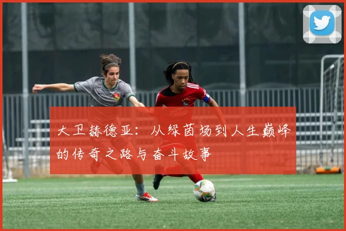 大卫赫德亚：从绿茵场到人生巅峰的传奇之路与奋斗故事
