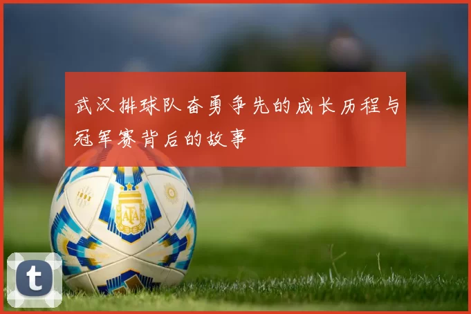 武汉排球队奋勇争先的成长历程与冠军赛背后的故事