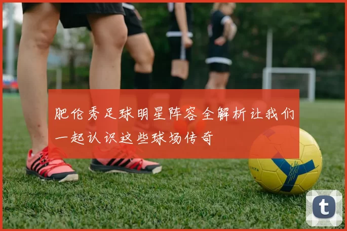 肥伦秀足球明星阵容全解析让我们一起认识这些球场传奇