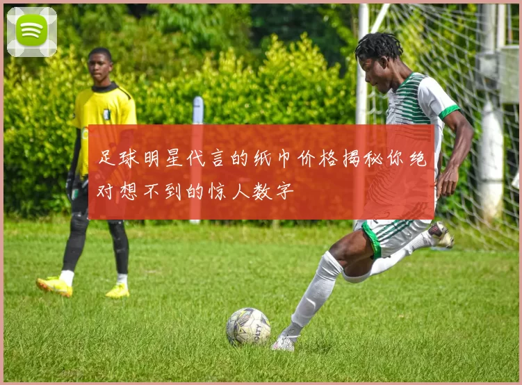 足球明星代言的纸巾价格揭秘你绝对想不到的惊人数字