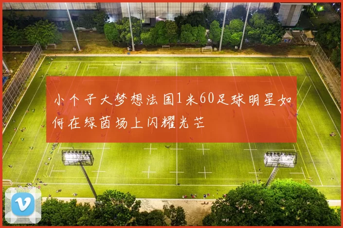 小个子大梦想法国1米60足球明星如何在绿茵场上闪耀光芒