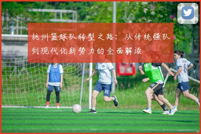 杭州篮球队转型之路：从传统强队到现代化新势力的全面解读