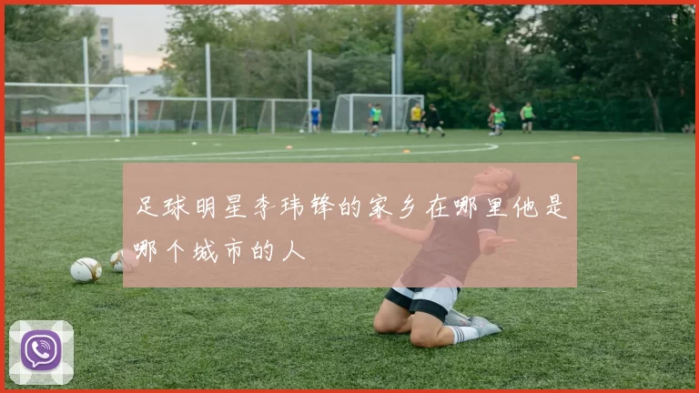 足球明星李玮锋的家乡在哪里他是哪个城市的人