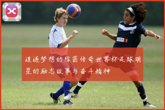 追逐梦想的绿茵传奇世界杯足球明星的励志故事与奋斗精神