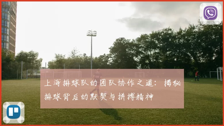 上海排球队的团队协作之道：揭秘排球背后的默契与拼搏精神
