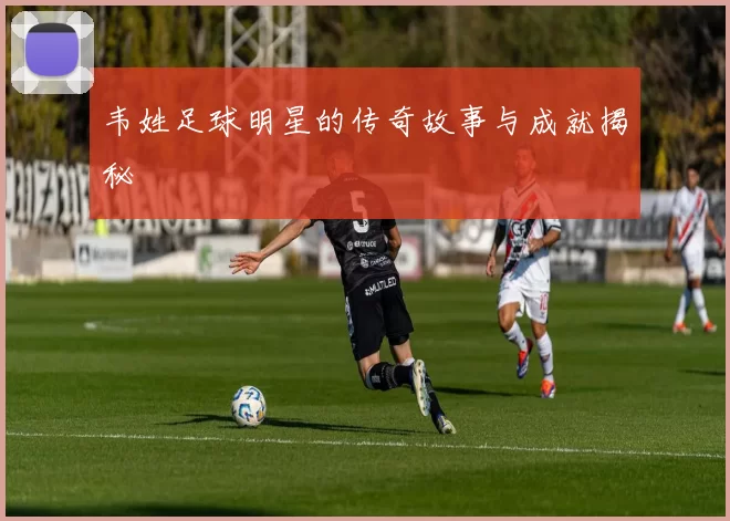 韦姓足球明星的传奇故事与成就揭秘