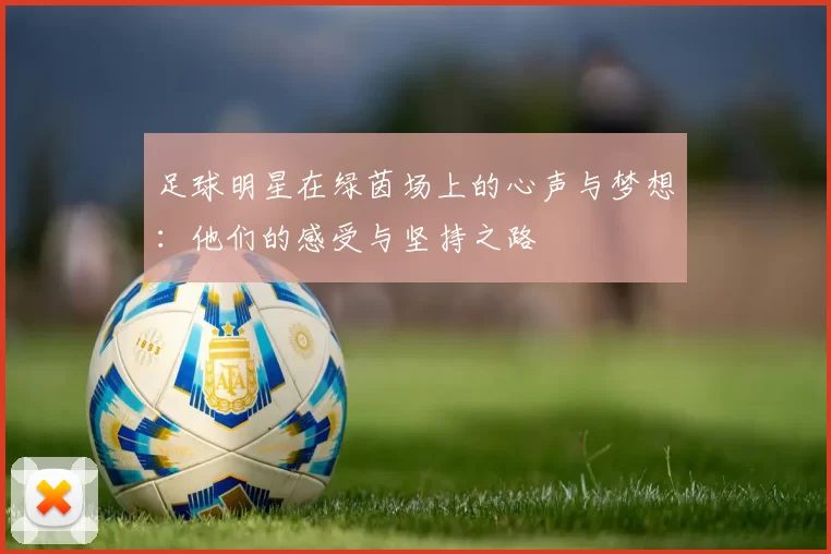 足球明星在绿茵场上的心声与梦想：他们的感受与坚持之路