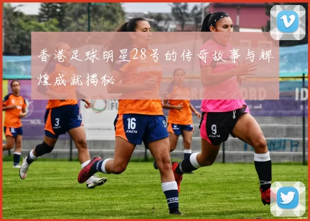 香港足球明星28号的传奇故事与辉煌成就揭秘